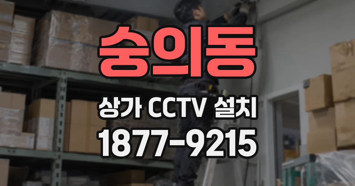 숭의동 상가 CCTV 설치