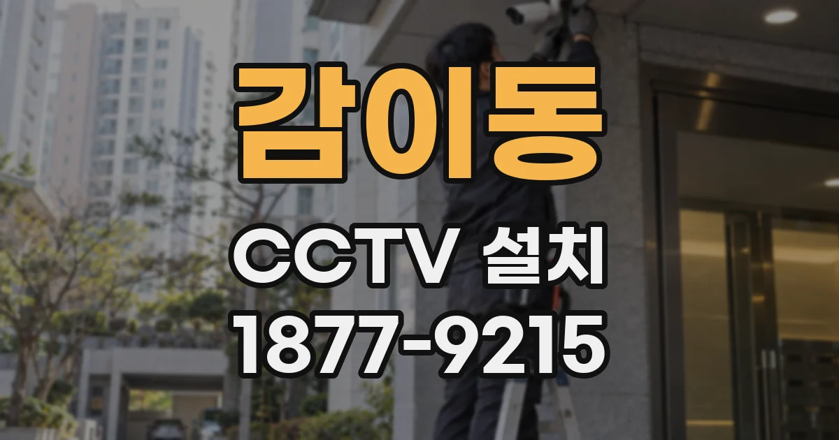 감이동 CCTV 설치