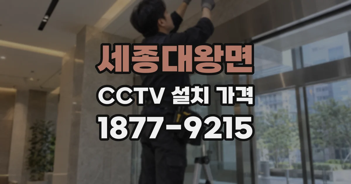 세종대왕면 CCTV 설치 가격