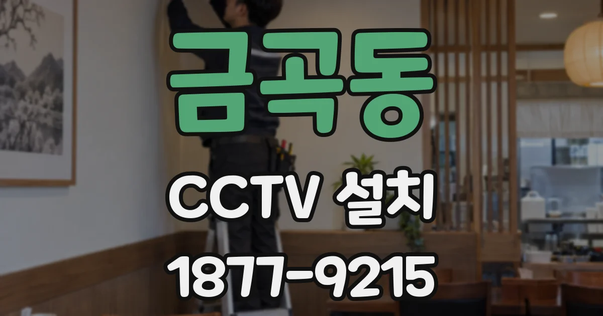 금곡동 CCTV 설치