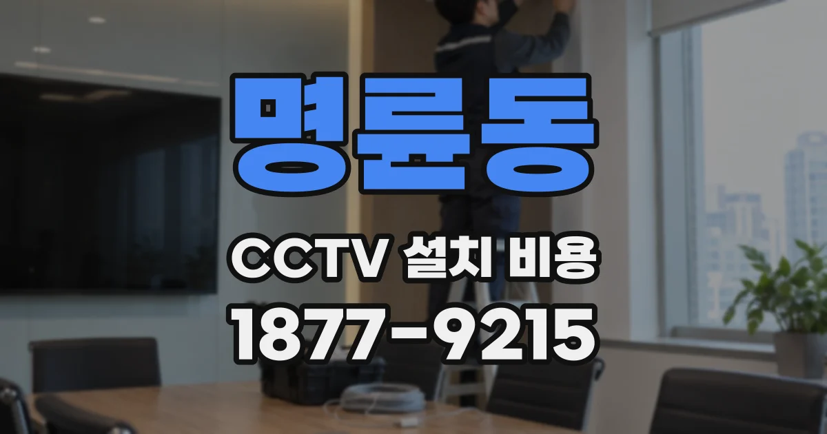 명륜동 CCTV 설치 비용
