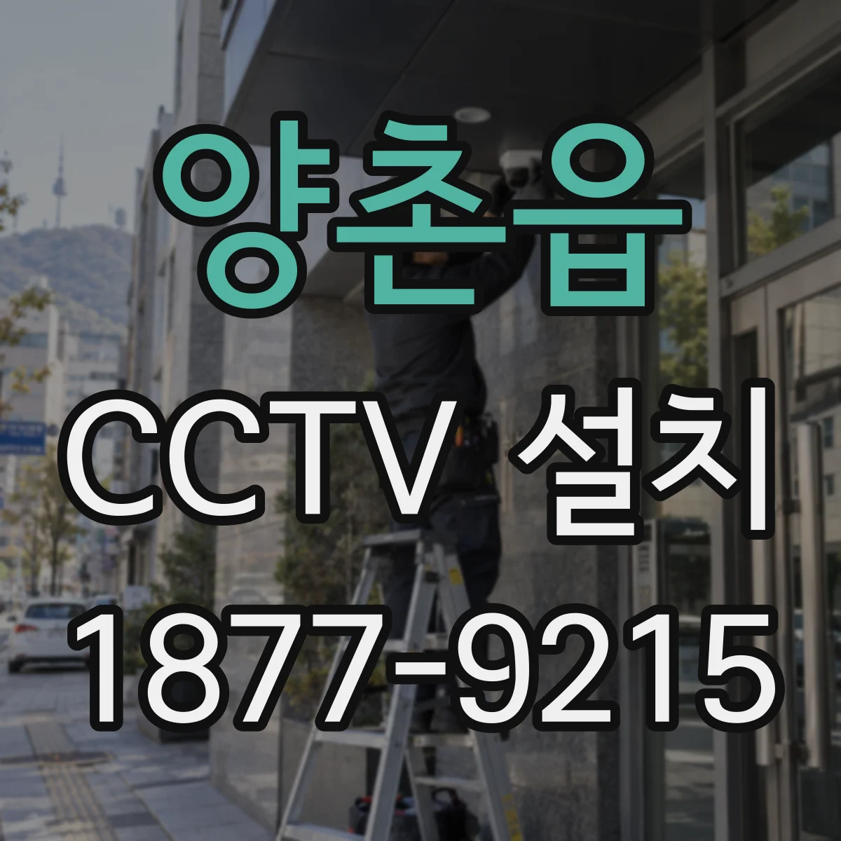 양촌읍 CCTV 설치