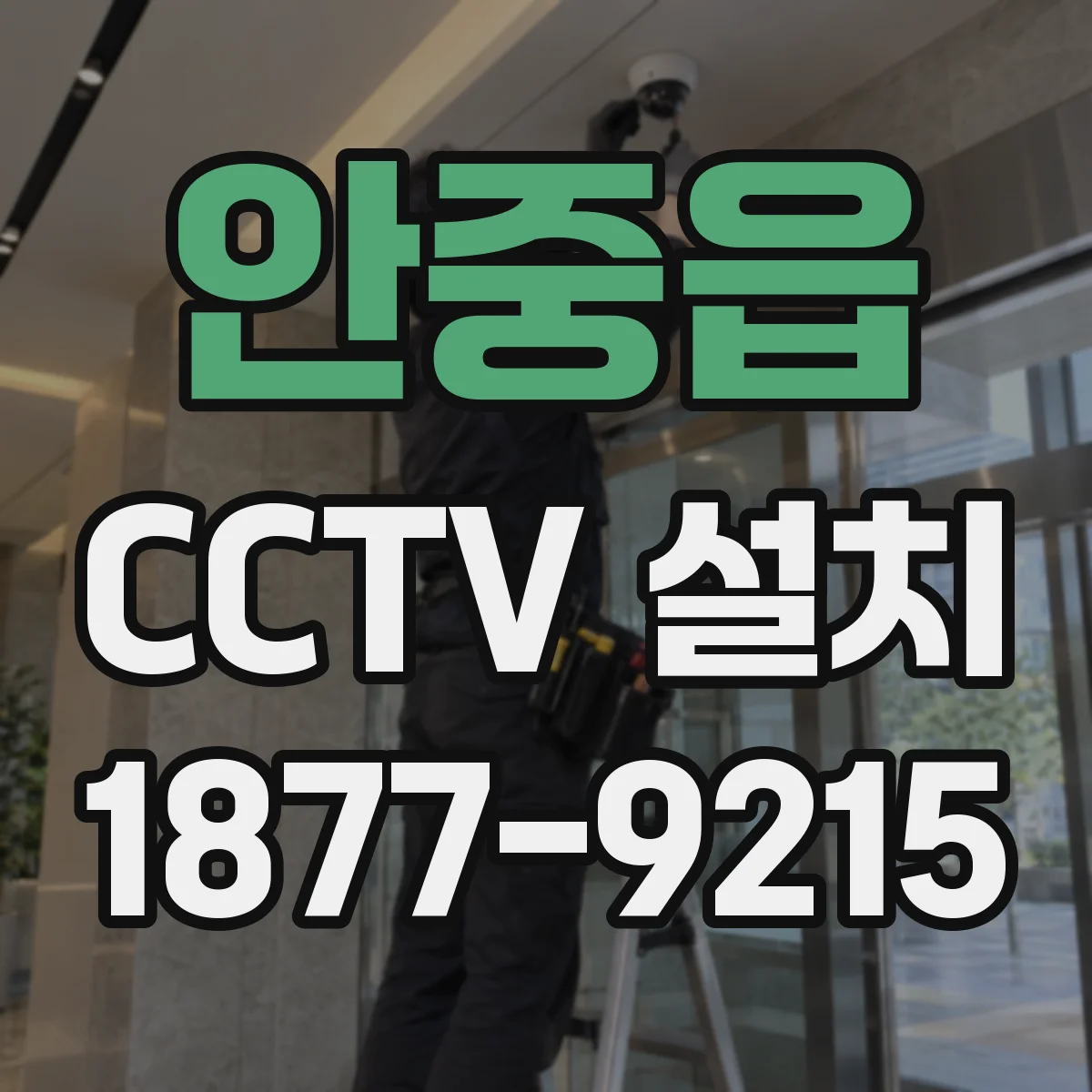 안중읍 CCTV 설치