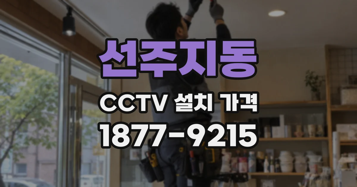 선주지동 CCTV 설치 가격