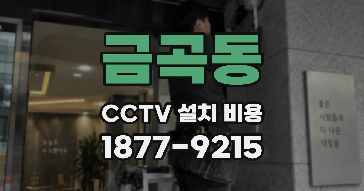 금곡동 CCTV 설치 비용