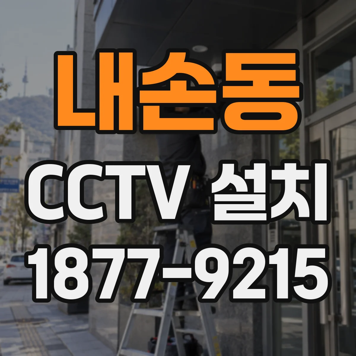 내손동 CCTV 설치