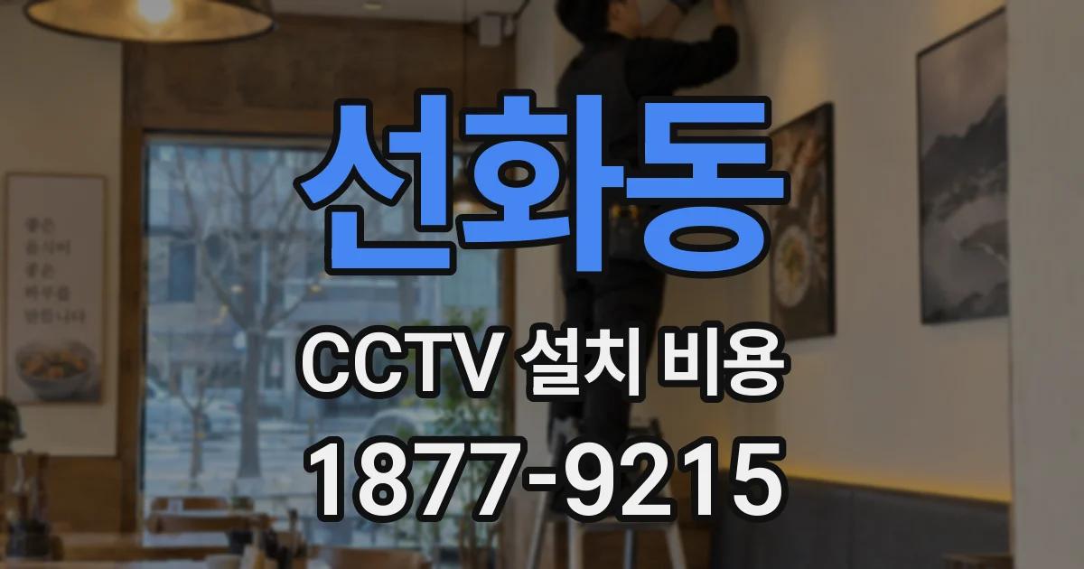 선화동 CCTV 설치 비용