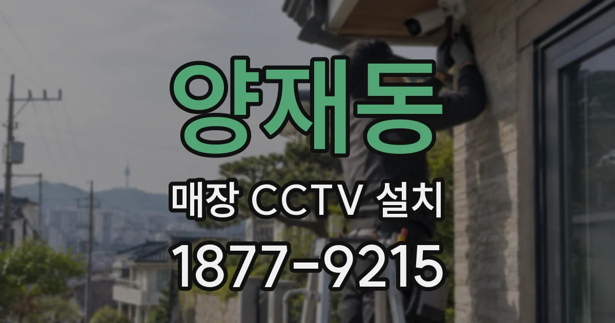 양재동 매장 CCTV 설치