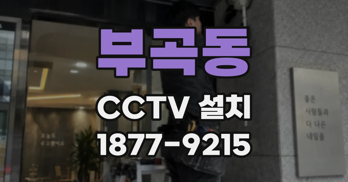 부곡동 CCTV 설치