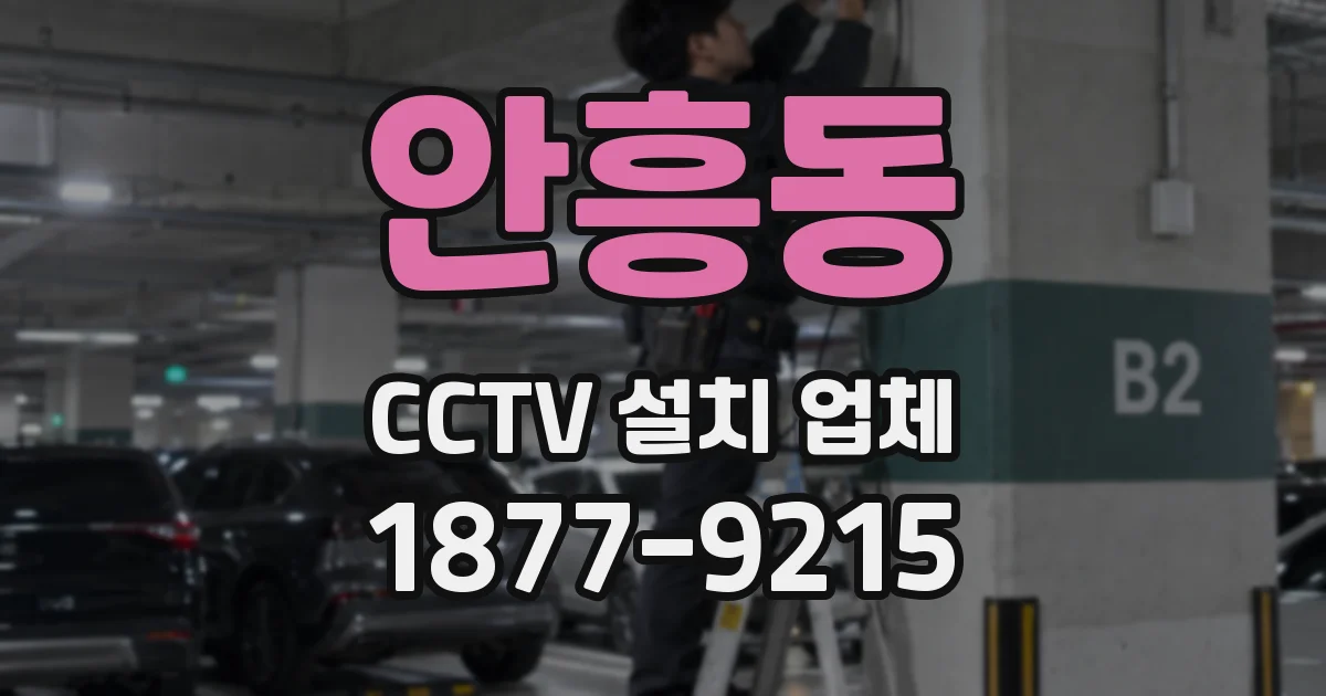 안흥동 CCTV 설치 업체