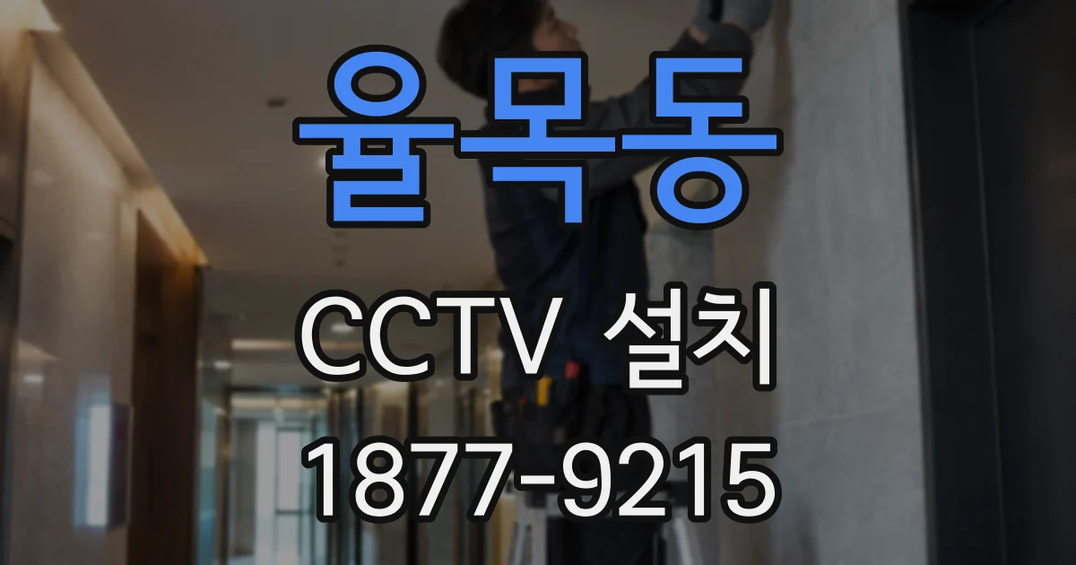 율목동 CCTV 설치