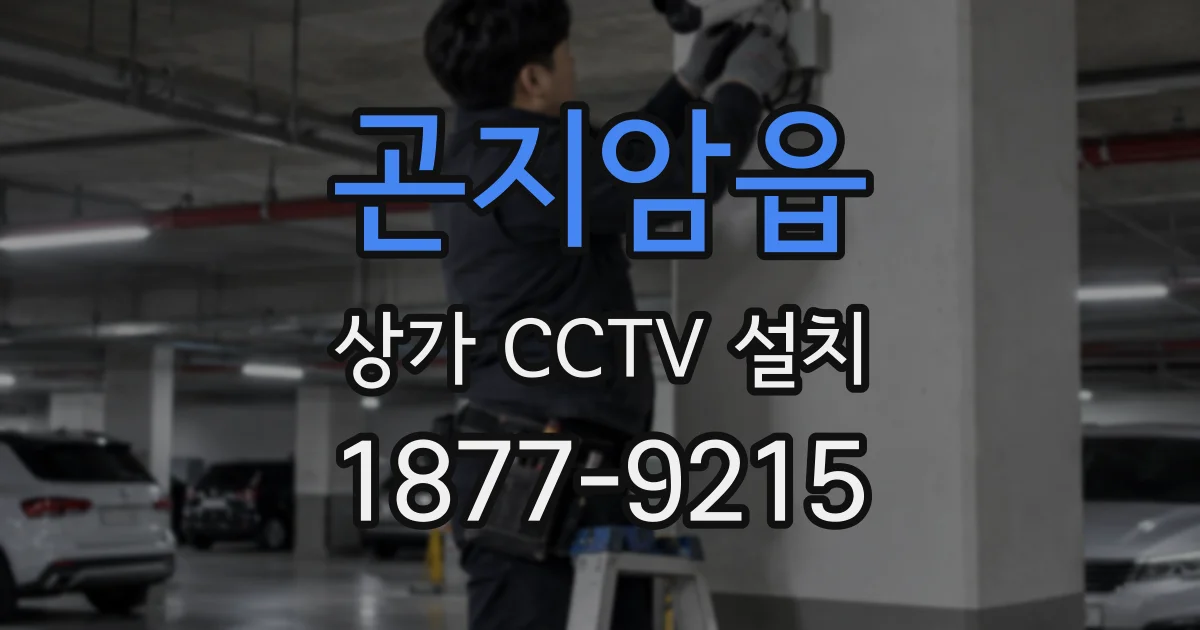 곤지암읍 상가 CCTV 설치