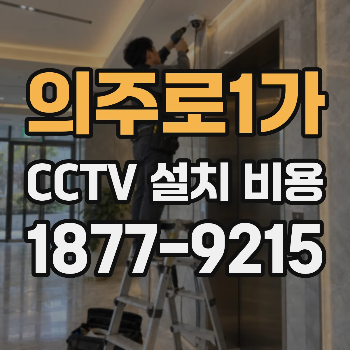 의주로1가 CCTV 설치 비용