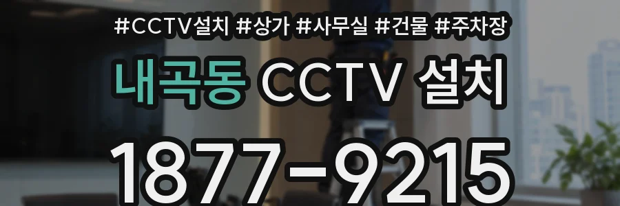 내곡동 CCTV 설치