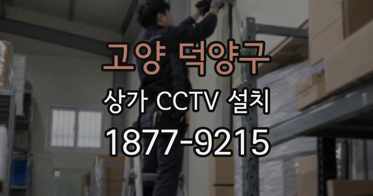 고양 덕양구 상가 CCTV 설치