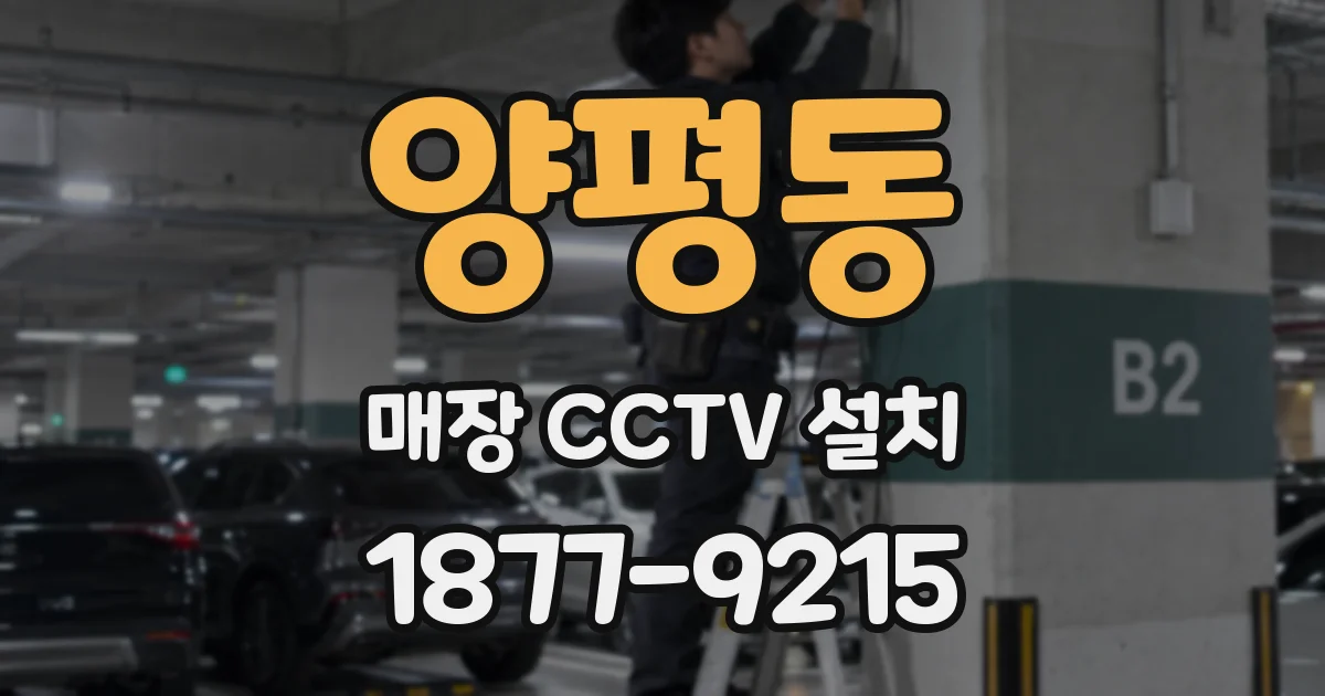 양평동 매장 CCTV 설치