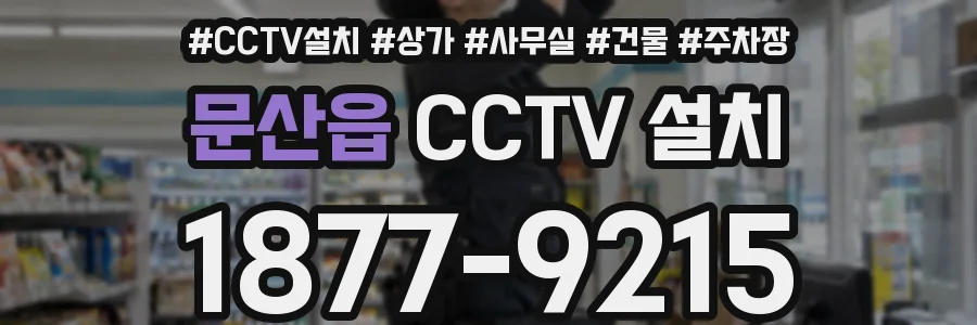 문산읍 CCTV 설치