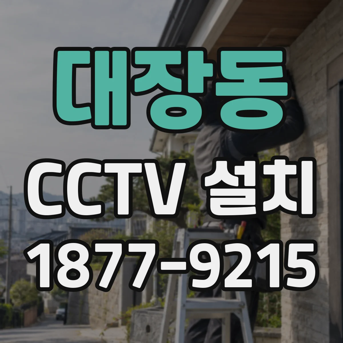 대장동 CCTV 설치