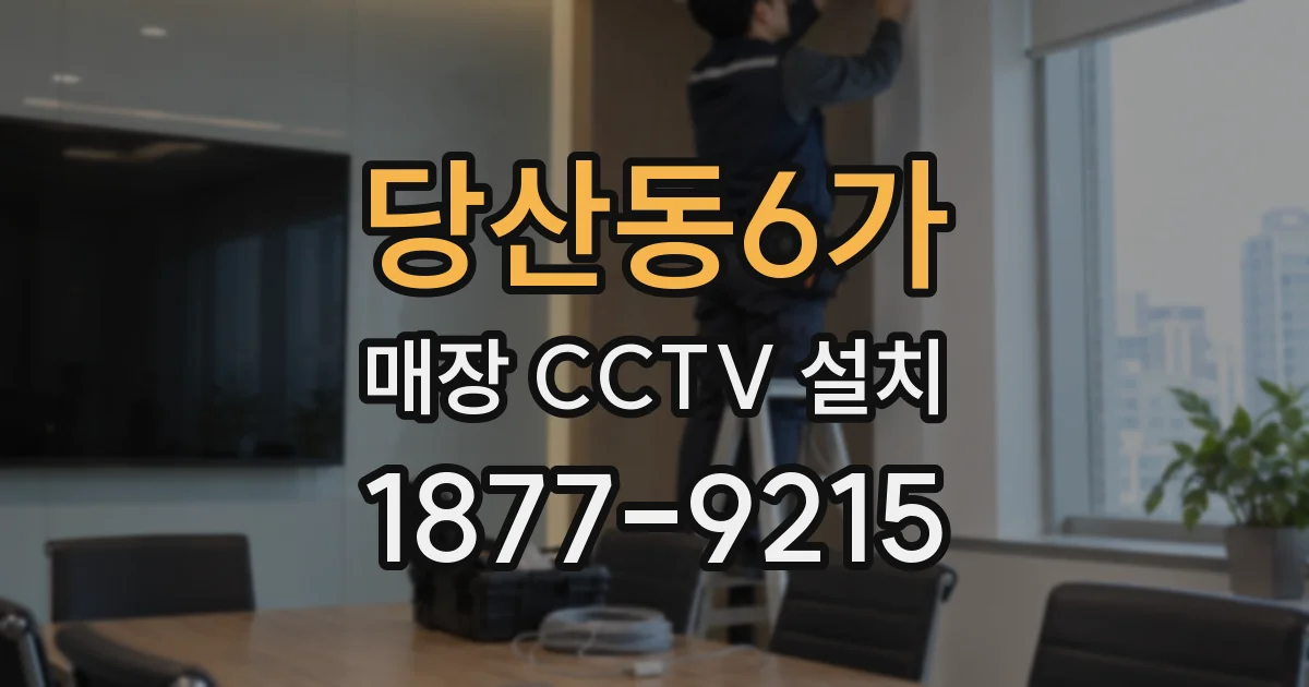당산동6가 매장 CCTV 설치