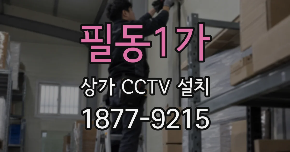 필동1가 상가 CCTV 설치
