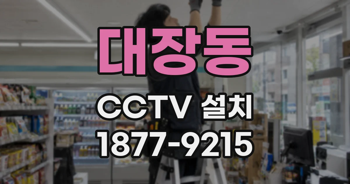 대장동 CCTV 설치