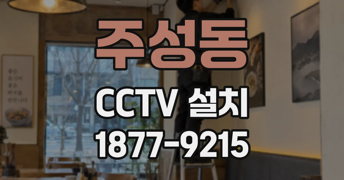 주성동 CCTV 설치