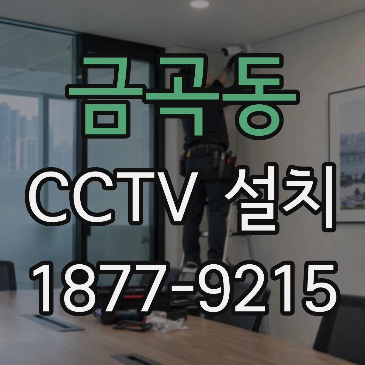 금곡동 CCTV 설치