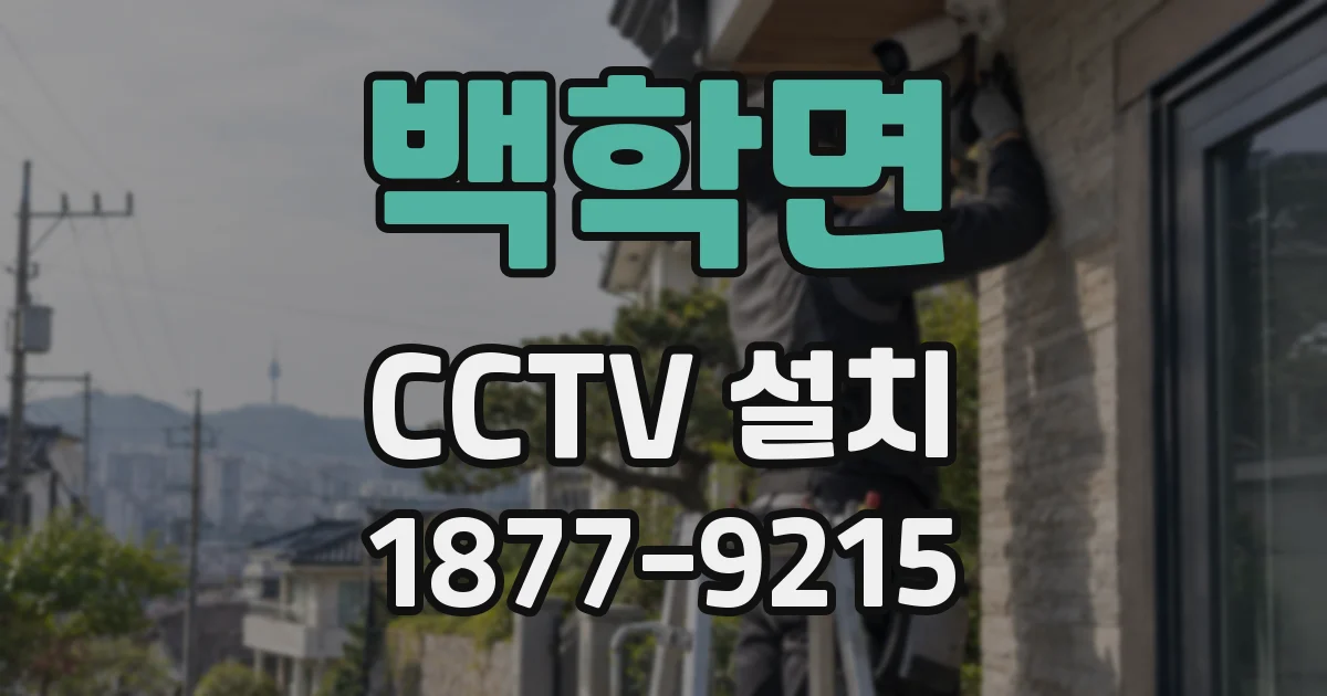 백학면 CCTV 설치