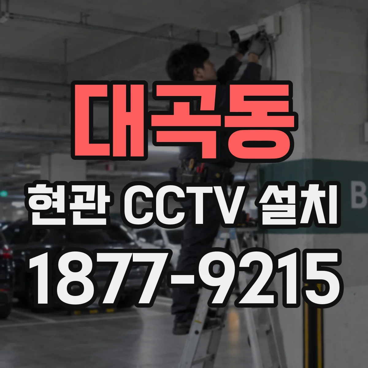 대곡동 현관 CCTV 설치
