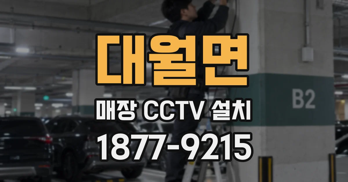 대월면 매장 CCTV 설치