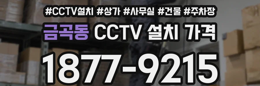 금곡동 CCTV 설치 가격