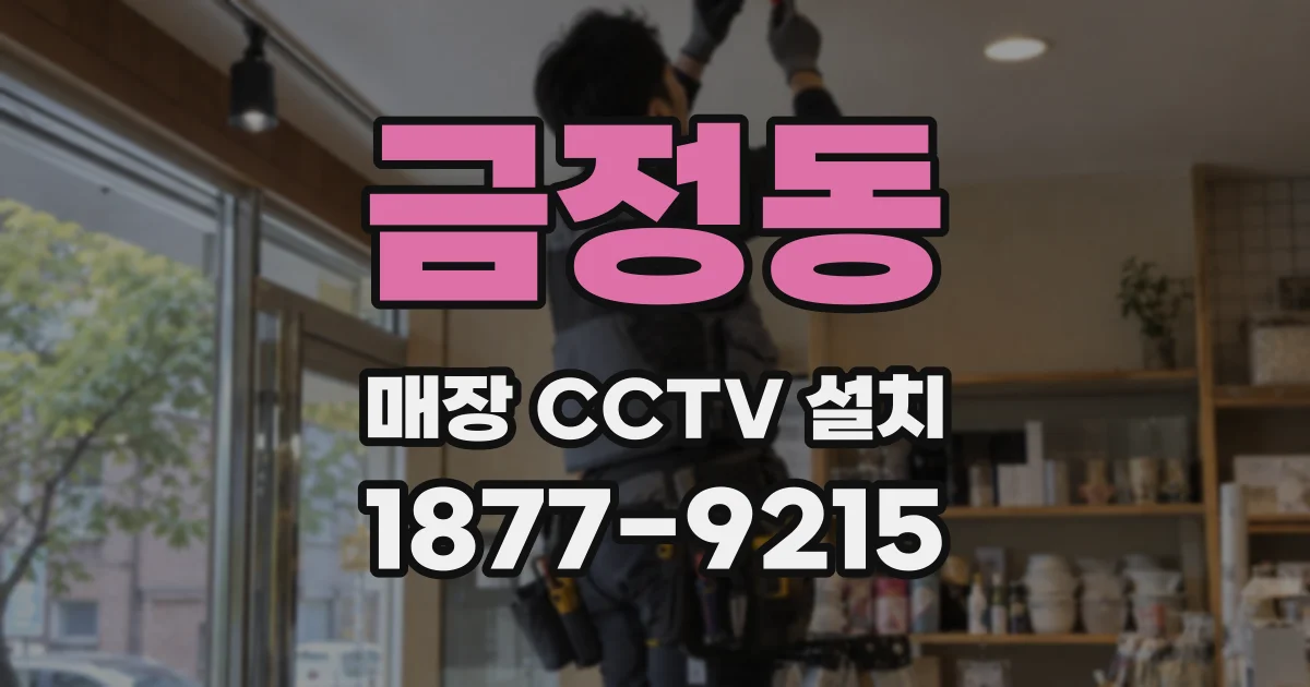 금정동 매장 CCTV 설치