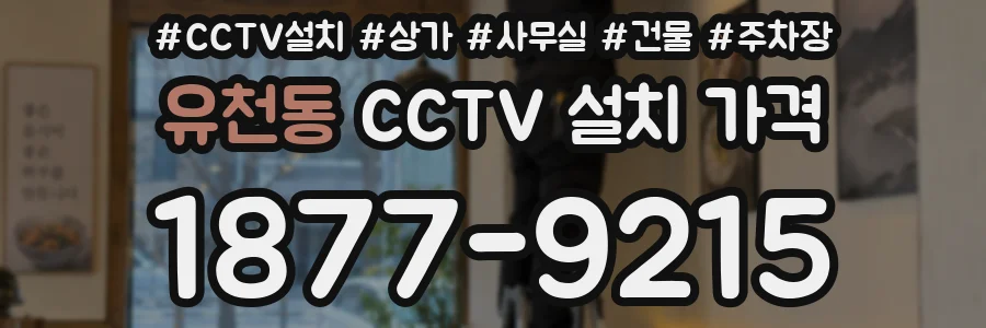 유천동 CCTV 설치 가격