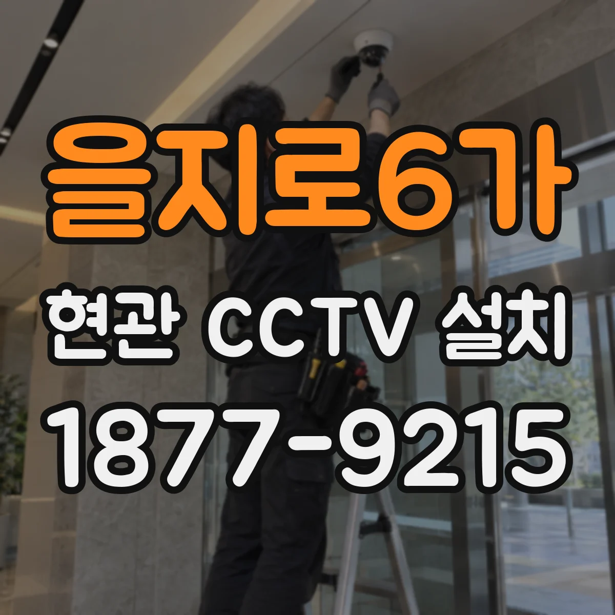 을지로6가 현관 CCTV 설치