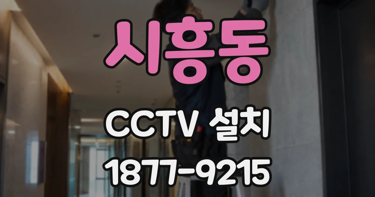 시흥동 CCTV 설치