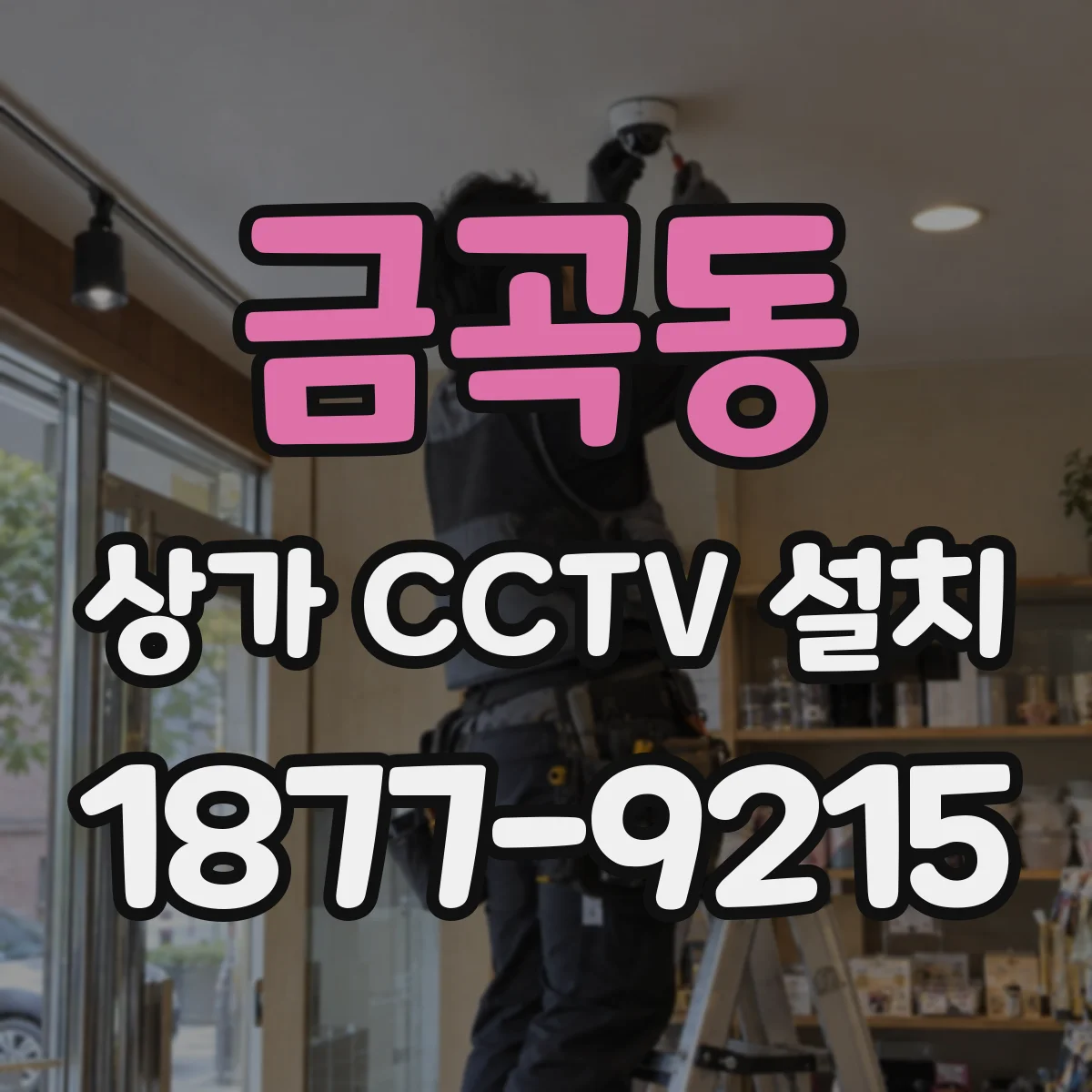 금곡동 상가 CCTV 설치