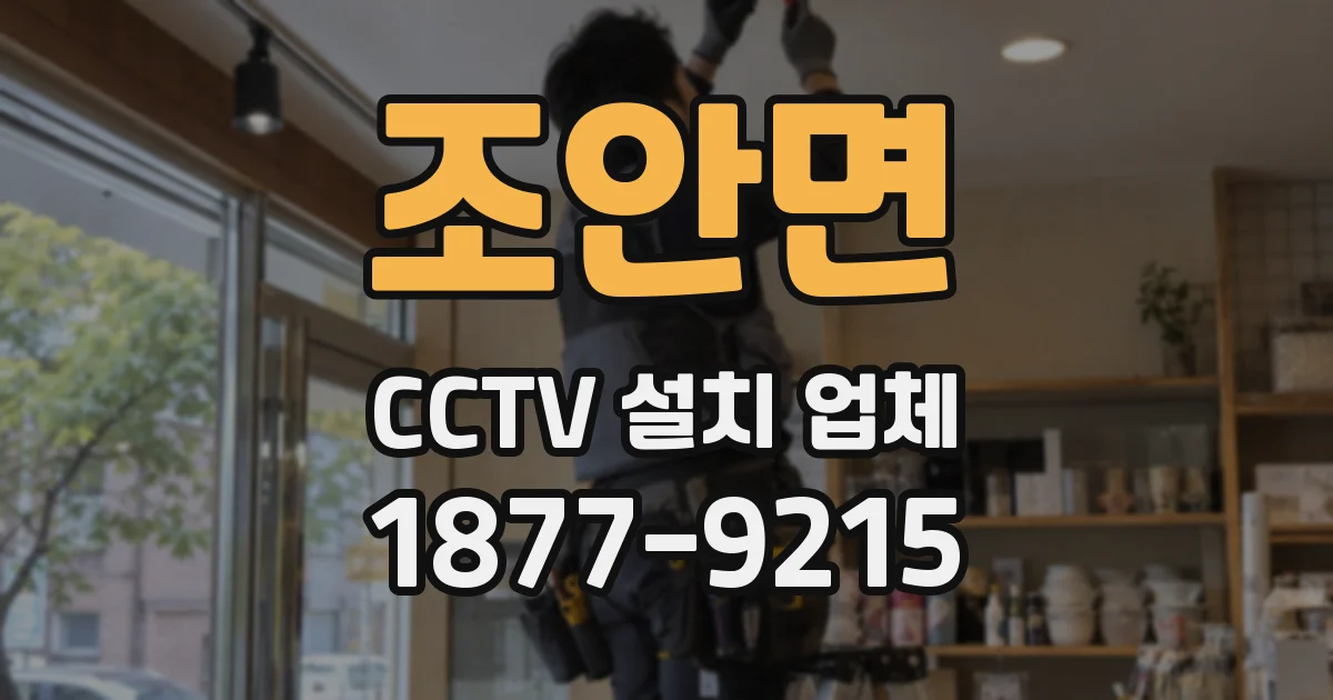 조안면 CCTV 설치 업체