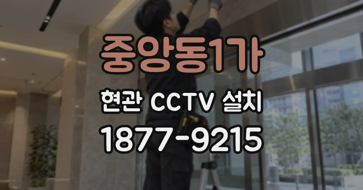 중앙동1가 현관 CCTV 설치