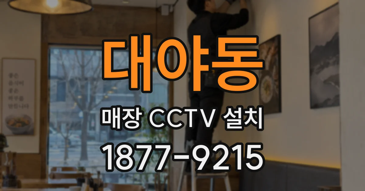 대야동 매장 CCTV 설치