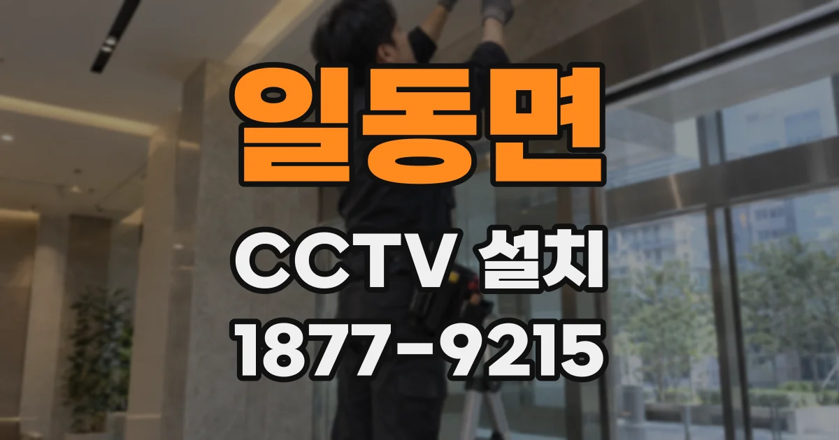 일동면 CCTV 설치