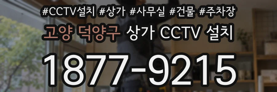 고양 덕양구 상가 CCTV 설치