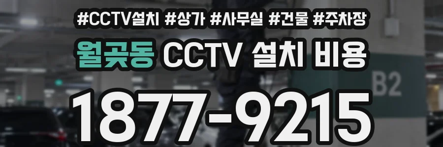 월곶동 CCTV 설치 비용