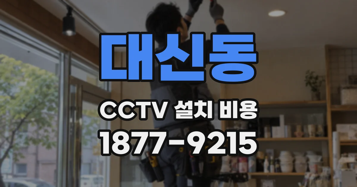 대신동 CCTV 설치 비용