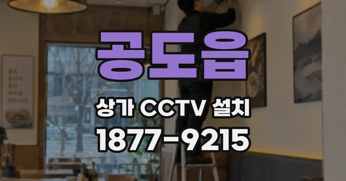 공도읍 상가 CCTV 설치