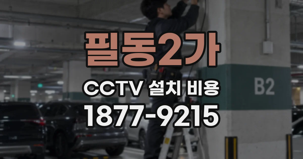 필동2가 CCTV 설치 비용