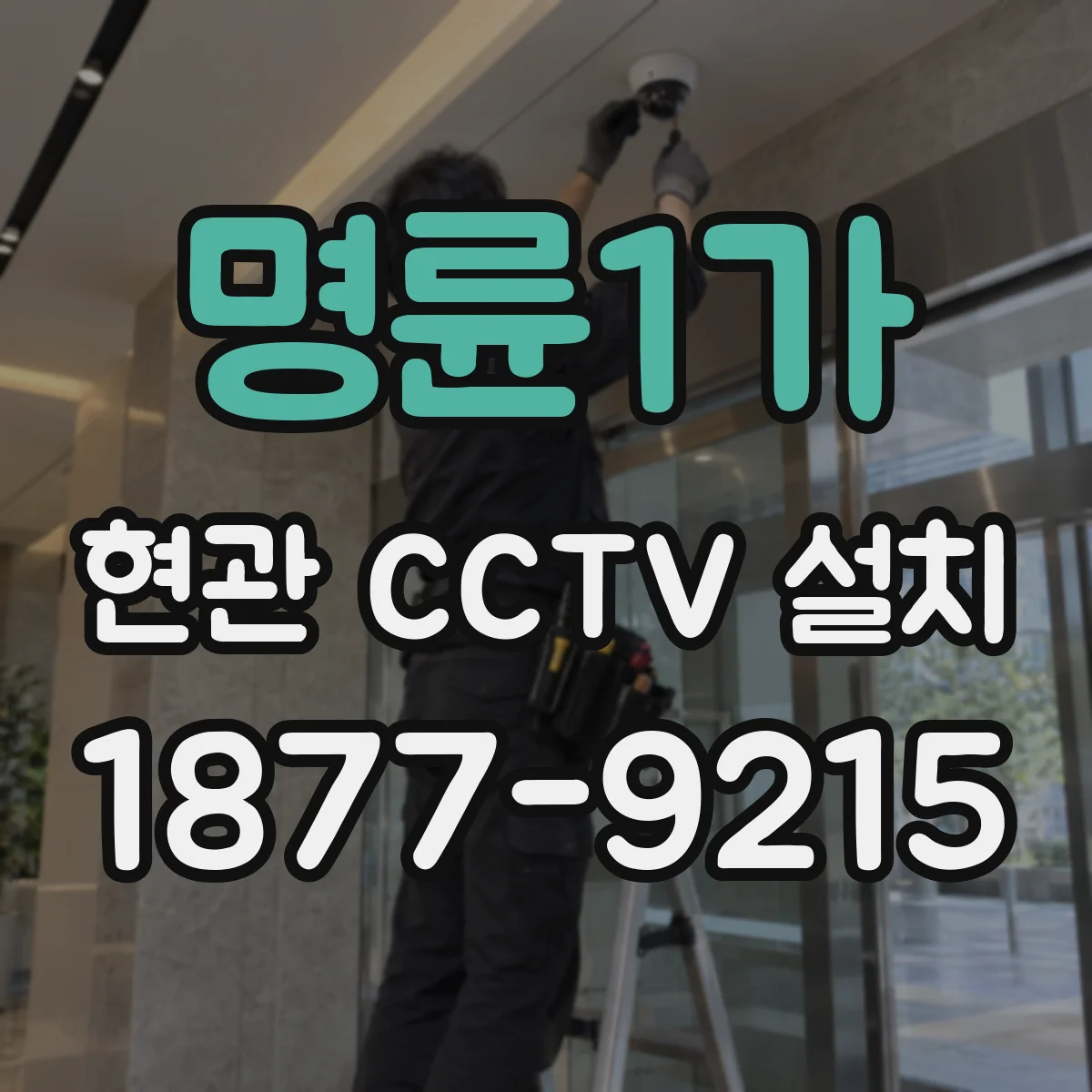 명륜1가 현관 CCTV 설치