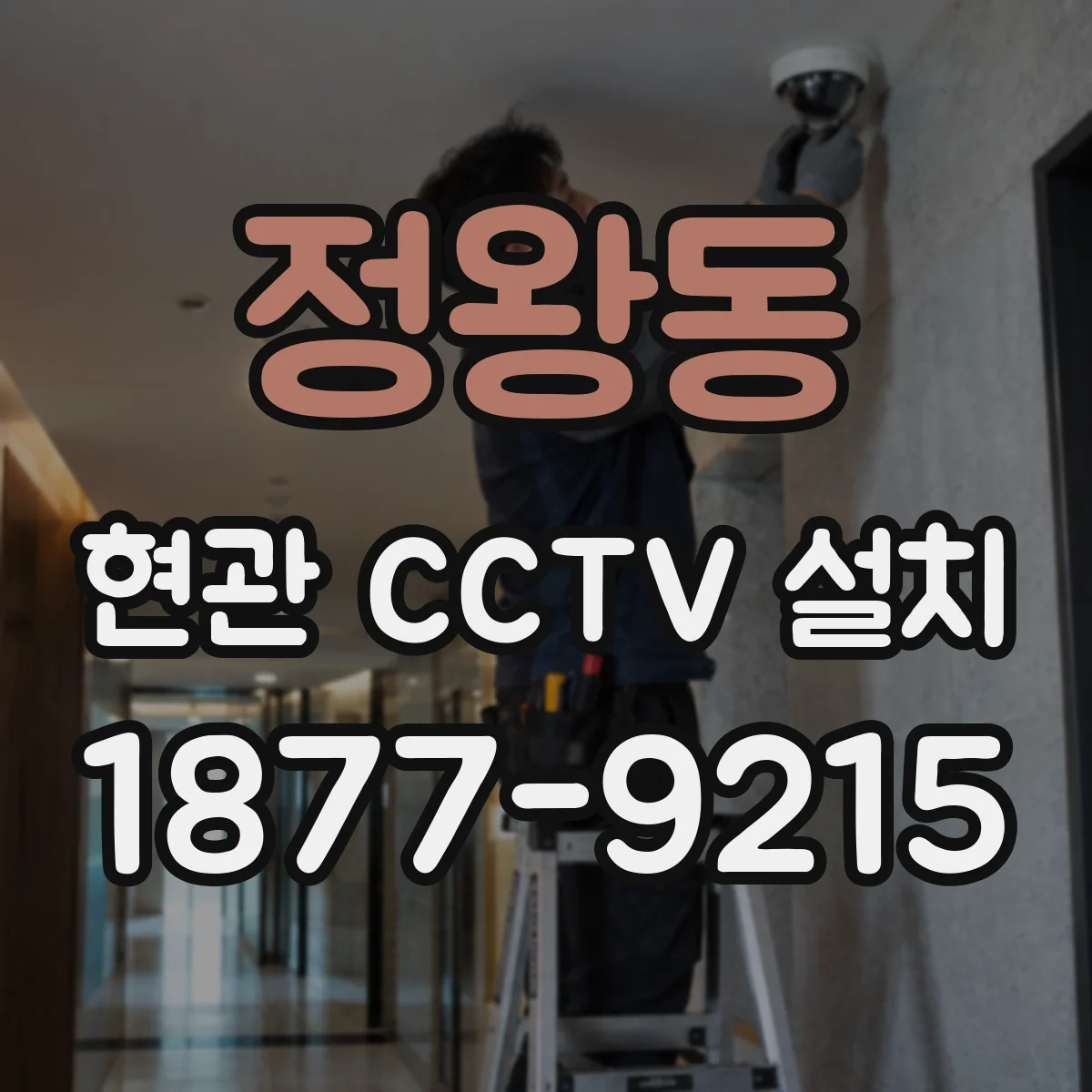 정왕동 현관 CCTV 설치