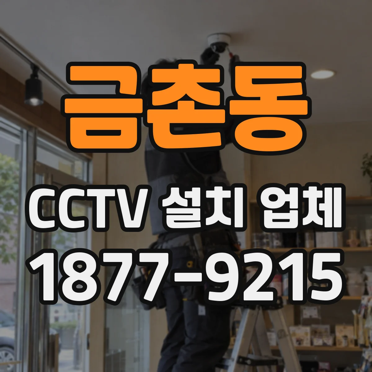 금촌동 CCTV 설치 업체
