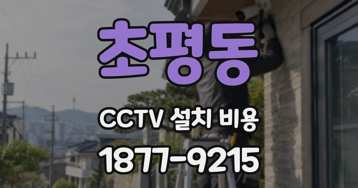 초평동 CCTV 설치 비용