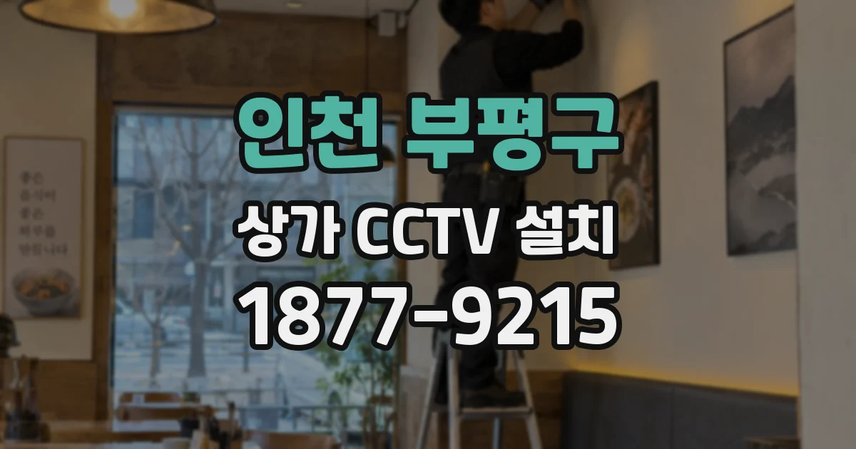 인천 부평구 상가 CCTV 설치